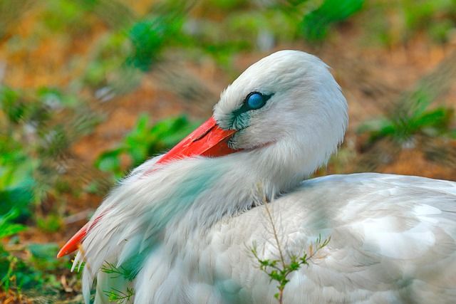 Top 5 Causes of Membrane Flux Decline and Effective Solutions for System Troubleshooting and Maintenance