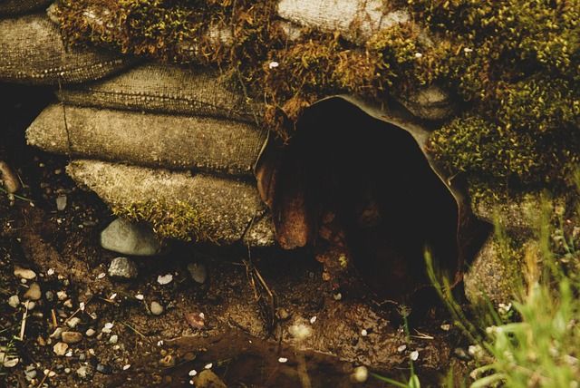 Los últimos avances en la gestión de aguas residuales destacan la evolución del sector