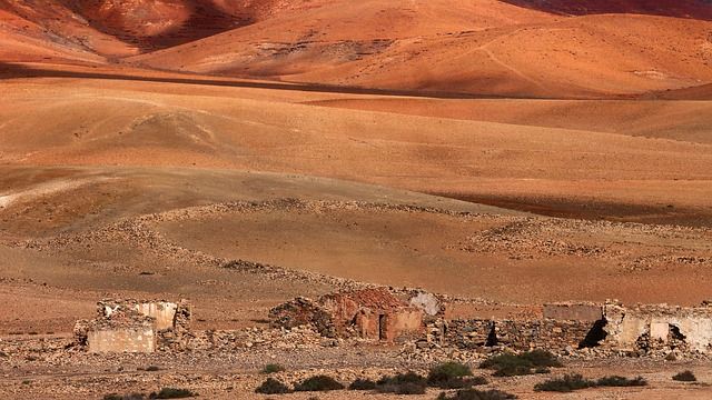 CFMOTO通过Ibex 950拓展美国市场，同时暂停印度业务