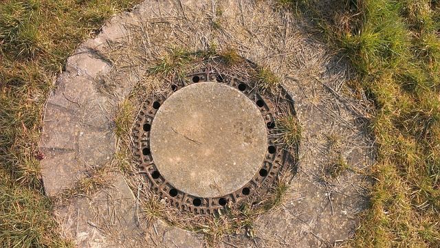 Wastewater Management Under Scrutiny: Global Trends and Local Challenges